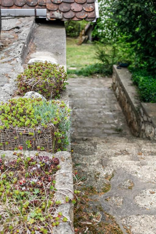 Myrtus Pince Es Vendeghaz Hotel Tarcal Bagian luar foto