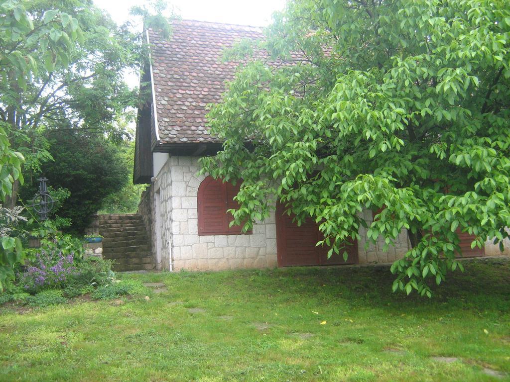 Myrtus Pince Es Vendeghaz Hotel Tarcal Bagian luar foto