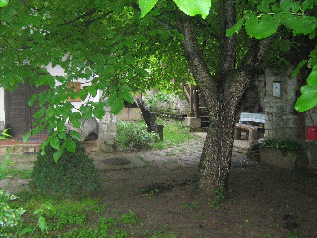 Myrtus Pince Es Vendeghaz Hotel Tarcal Bagian luar foto